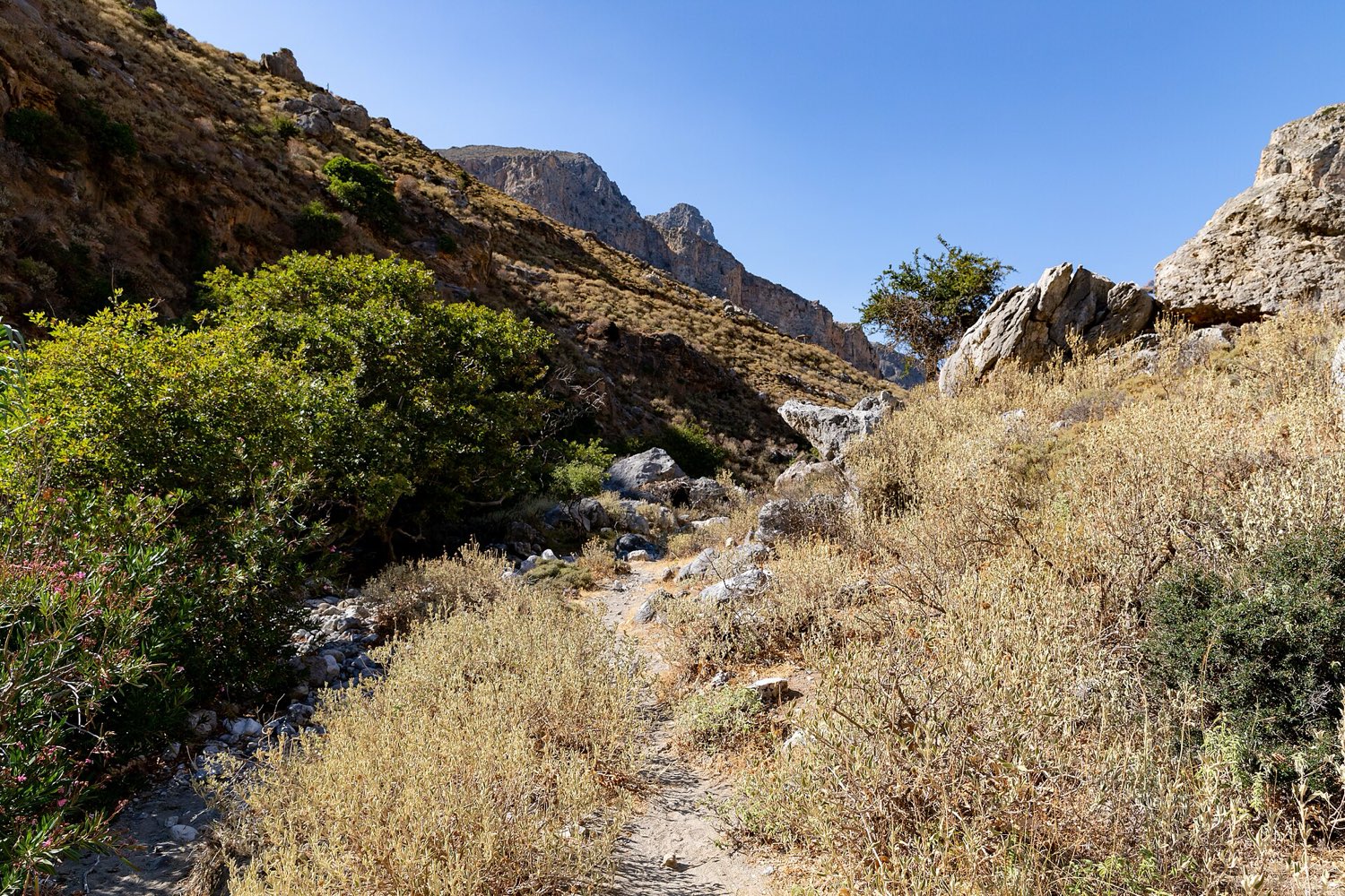 Hiking the Kourtaliotiko gorge